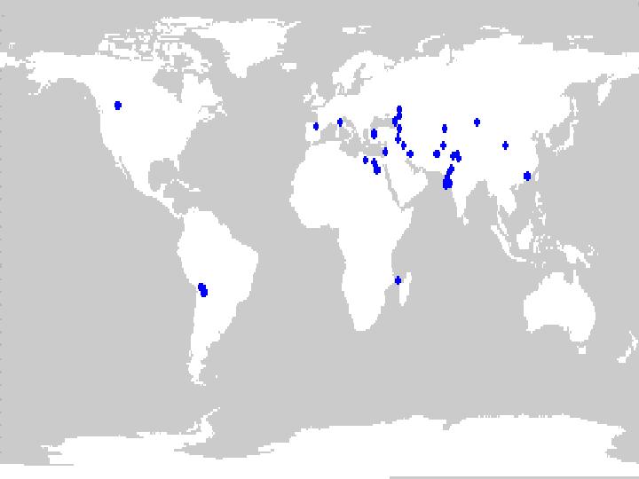 Distribution of landrace germplasm held in the NPGS collection.